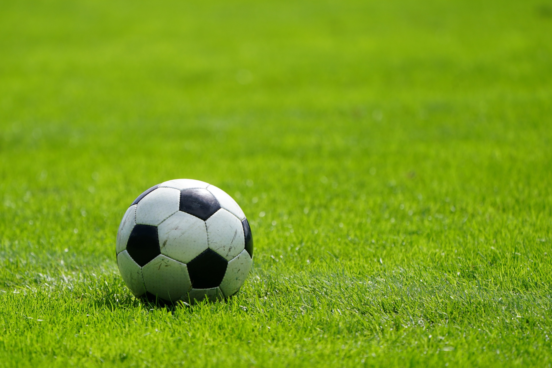 AdobeStock_292871971
